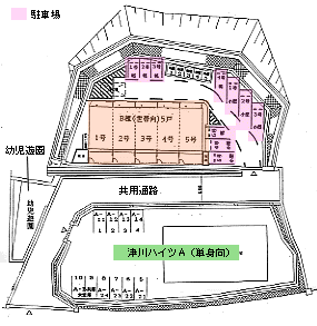 津川ハイツA (単身者向) 棟の配置図
