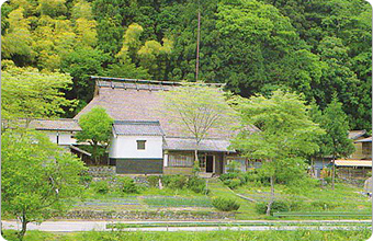 鬱蒼と茂った木々に囲まれた敷地内に建つ茅葺屋根の熊谷家の写真（熊谷家のページへリンク）