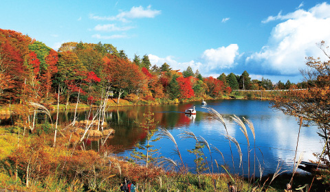 秋空の下、2隻のスワンボートが浮かぶ池の周囲にススキや真っ赤に染まった紅葉の木々が立ち並んでいる写真