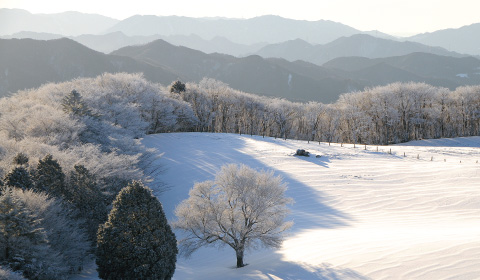 幾重に重なった山並や木々に囲まれた手前の敷地内に雪が積もり一面銀世界の冬の様子の写真