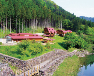 川の傍の細くて高い木々が生えた山の麓の敷地内に、赤色の屋根の宿泊施設が建っている写真