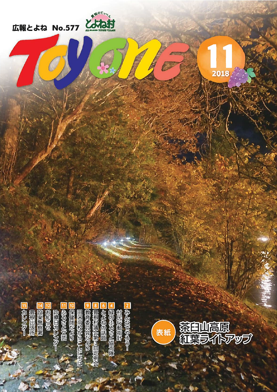 平成30年11月号の表紙