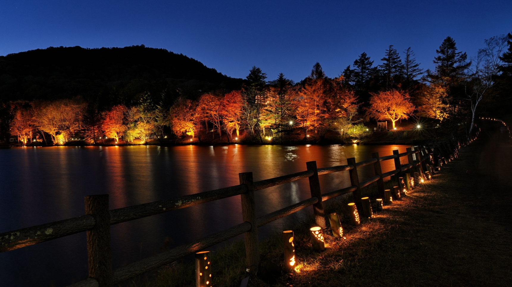 矢筈池ライトアップ