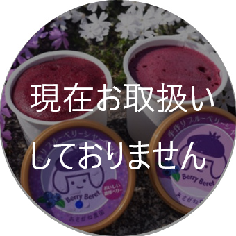 カップに入ったブルーベリーシャーベット2個を写した写真