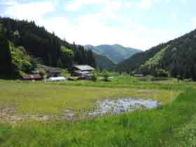 山並みの麓に数件の民家が建ち、手前に緑鮮やかな田畑が広がっている風景写真
